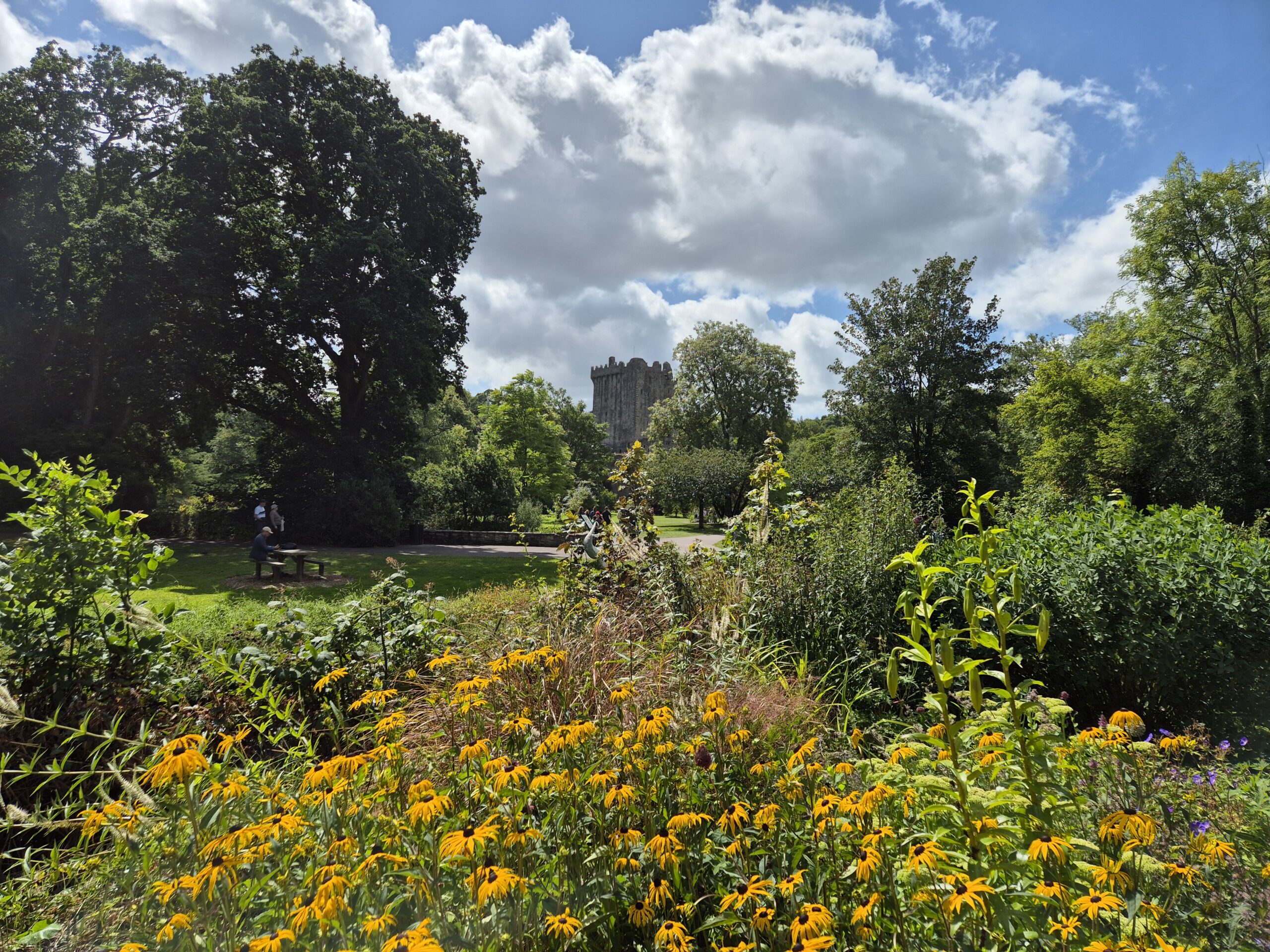 Monday 12 August 2024: Blarney Castle – Words Worth Writing
