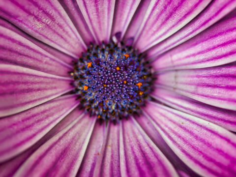 Wednesday 13 August 2025: Newsletter imminent…