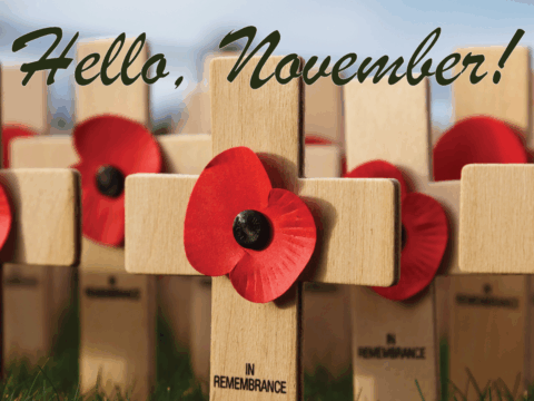 Monday 3 November 2025: Hello November!