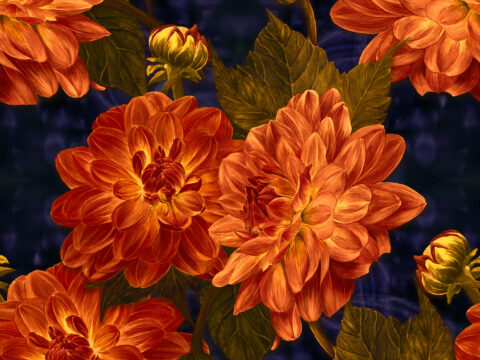 Thursday 6 November 2025: New schedule begins