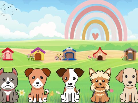 Tuesday 25 November 2025: All quiet in the mad house