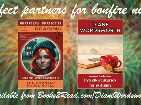 Wednesday 5 November 2025: Bonfire Night!