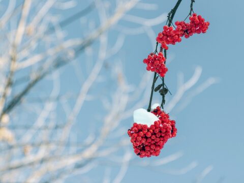 Thursday 20 November 2025: Snow!