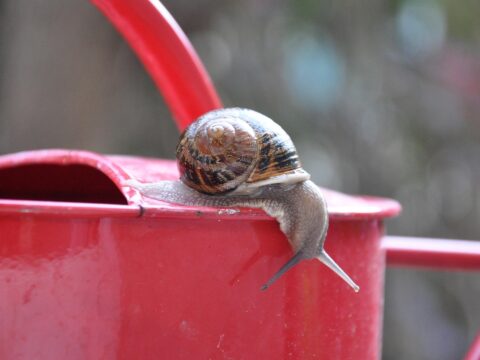 Friday 14 November 2025: More editing