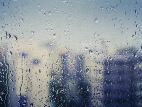 Monday 24 November 2025: It rained. A lot.