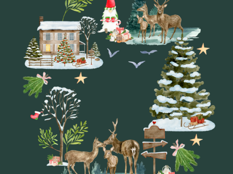 Friday 12 December 2025: Short n sweet