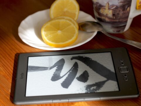 Friday 23 January 2026: eReading and eReaders