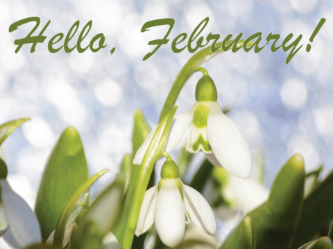 Tuesday 3 February 2026: Hello, February!