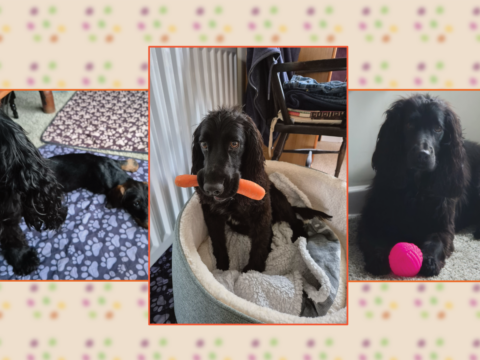 Friday 27 February 2026: Bye, bye, Hawley 💙