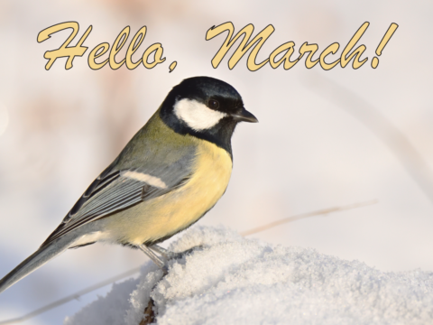 Tuesday 3 March 2026: Hello, March!