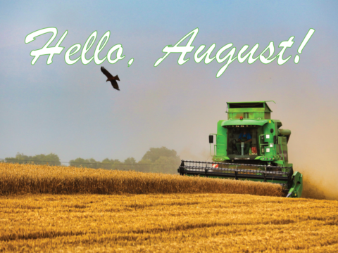 Tuesday 4 August 2026: Hello, August!